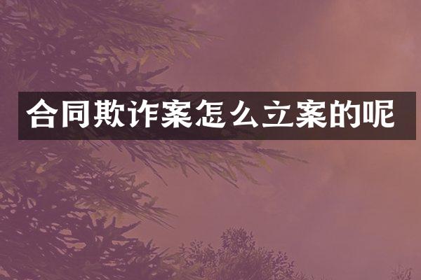 合同欺诈案怎么立案的呢
