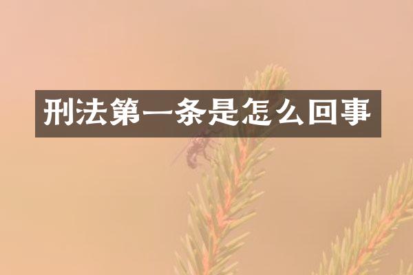 刑法第一条是怎么回事