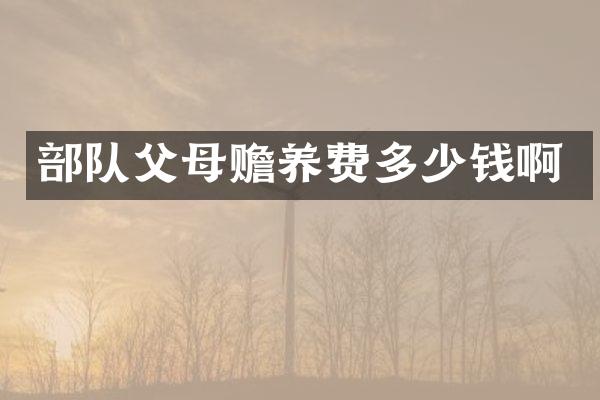 部队父母赡养费多少钱啊