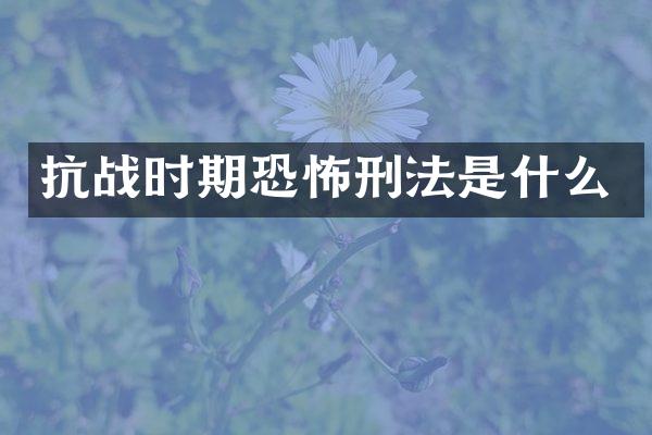 抗战时期恐怖刑法是什么