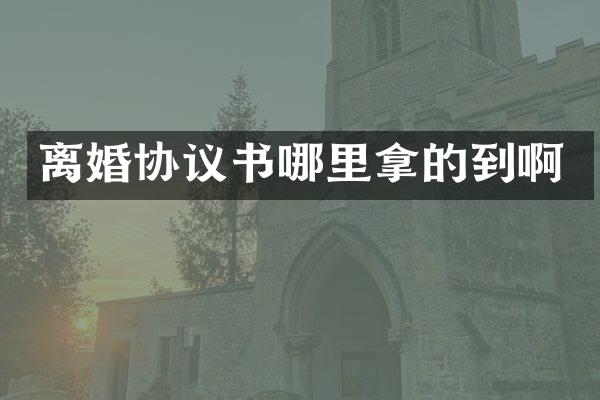 离婚协议书哪里拿的到啊