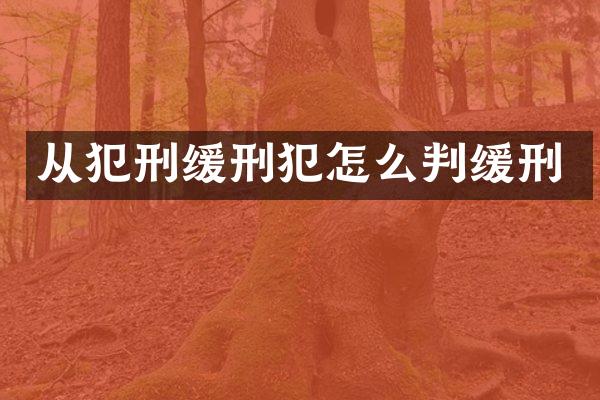 从犯刑缓刑犯怎么判缓刑
