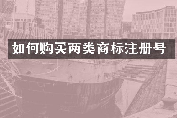 如何购买两类商标注册号