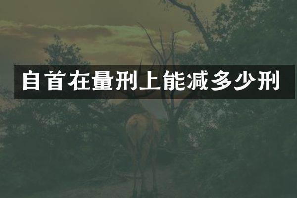 自首在量刑上能减多少刑