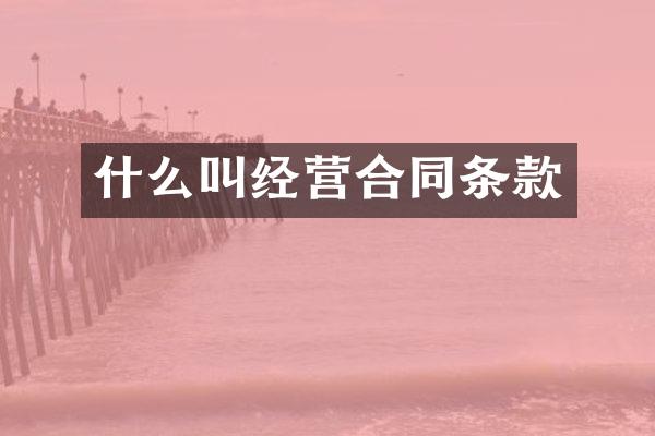 什么叫经营合同条款