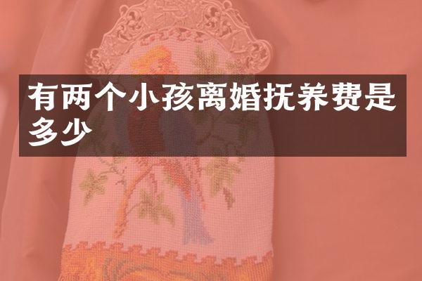 有两个小孩离婚抚养费是多少