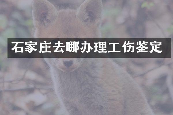 石家庄去哪办理工伤鉴定