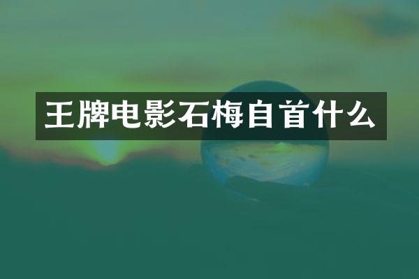 王牌电影石梅自首什么