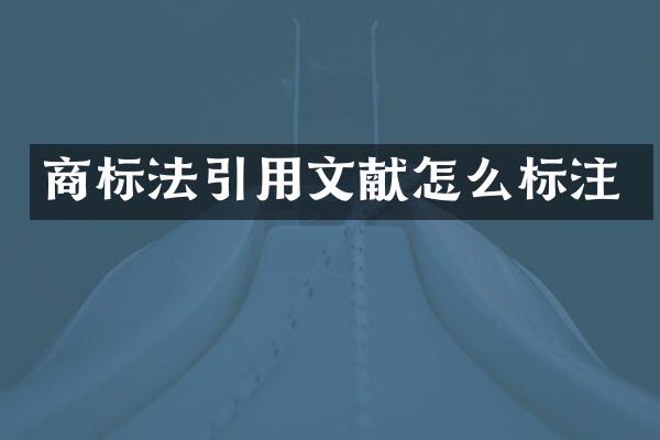 商标法引用文献怎么标注