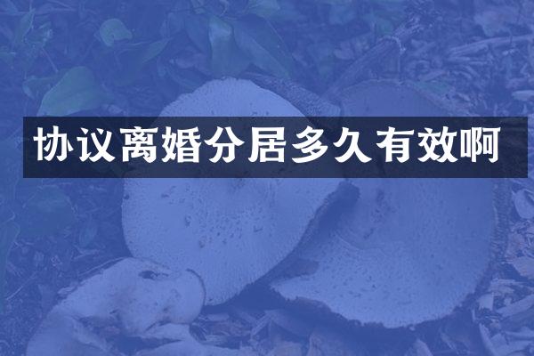 协议离婚分居多久有效啊