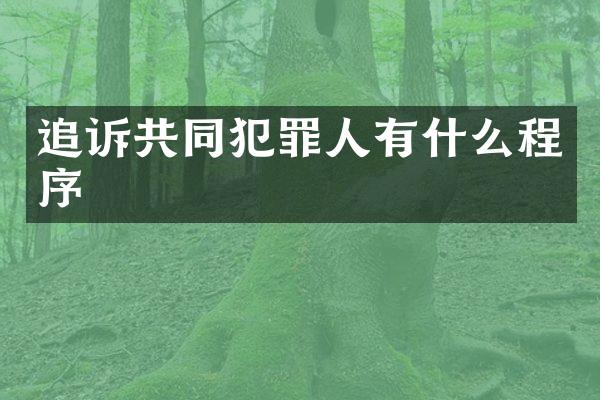追诉共同犯罪人有什么程序