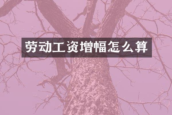 劳动工资增幅怎么算