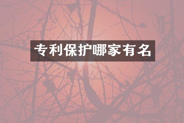 专利保护哪家有名