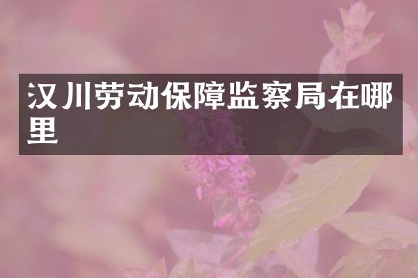 汉川劳动保障监察局在哪里
