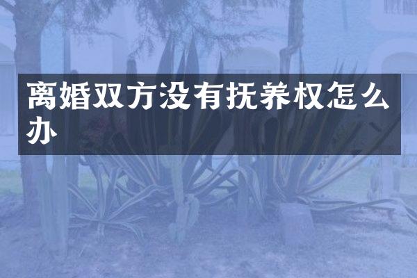 离婚双方没有抚养权怎么办