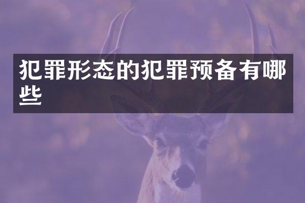犯罪形态的犯罪预备有哪些