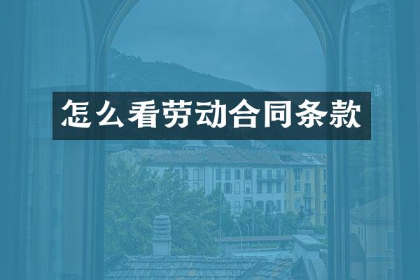 怎么看劳动合同条款