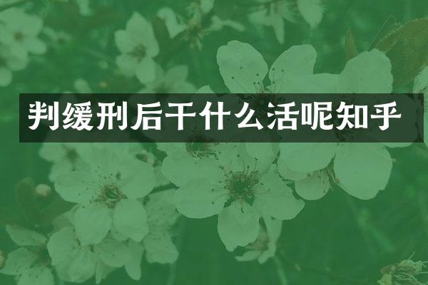 判缓刑后干什么活呢知乎