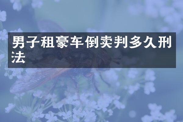 男子租豪车倒卖判多久刑法