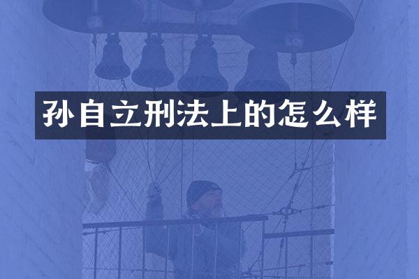 孙自立刑法上的怎么样