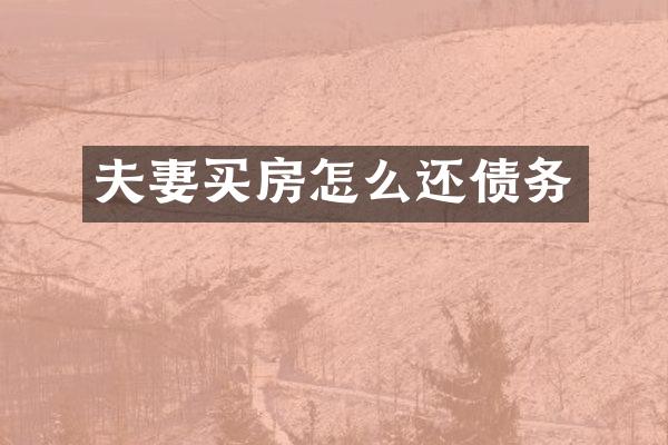 夫妻买房怎么还债务