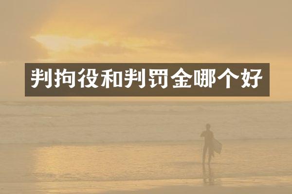 判拘役和判罚金哪个好
