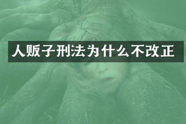 刑法为什么不改正