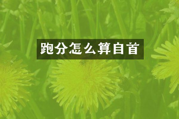 跑分怎么算自首