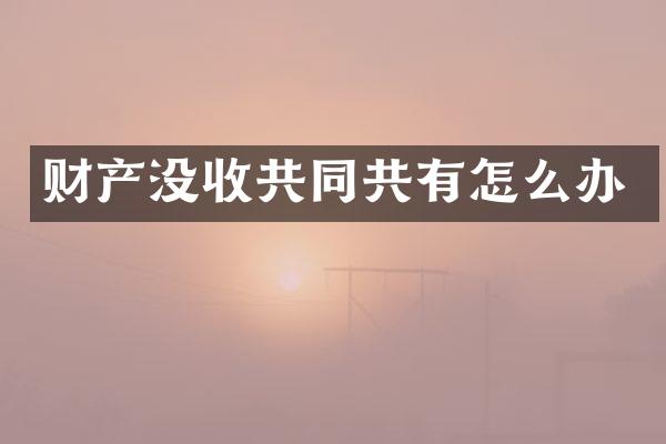 财产没收共同共有怎么办