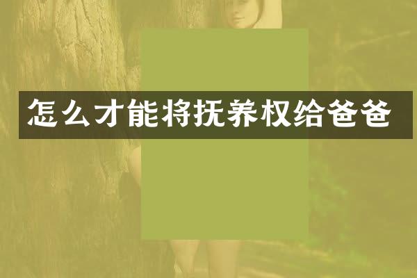 怎么才能将抚养权给爸爸