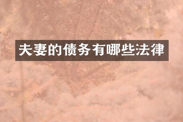 夫妻的债务有哪些法律