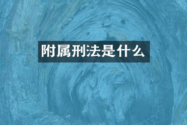 附属刑法是什么