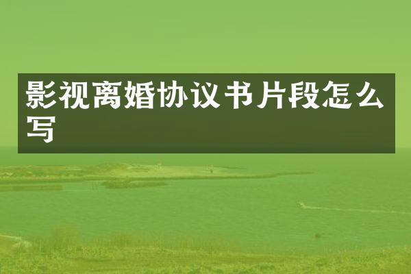 影视离婚协议书片段怎么写