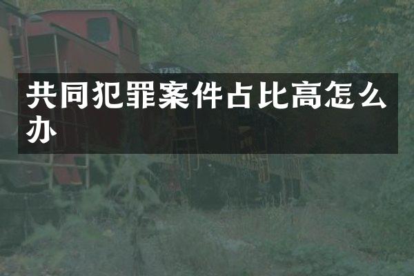 共同犯罪案件占比高怎么办