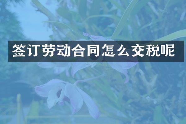 签订劳动合同怎么交税呢