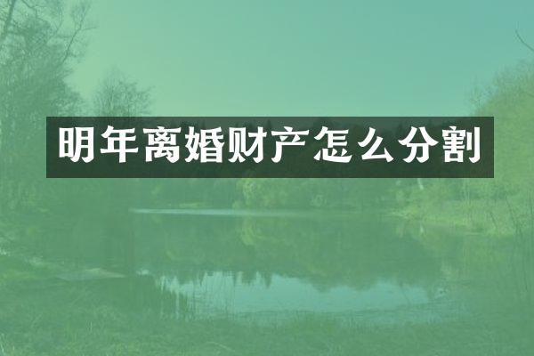 明年离婚财产怎么分割