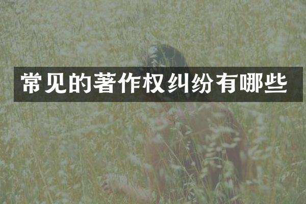 常见的著作权纠纷有哪些