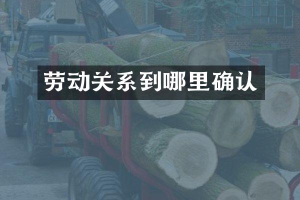 劳动关系到哪里确认