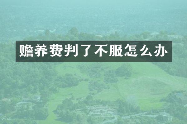 赡养费判了不服怎么办