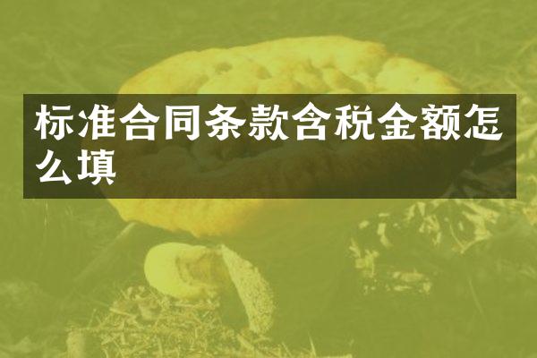 标准合同条款含税金额怎么填