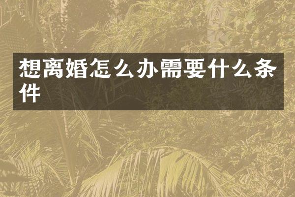 想离婚怎么办需要什么条件