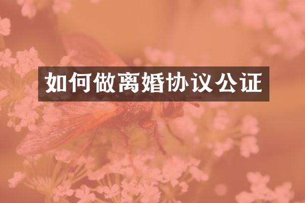 如何做离婚协议公证