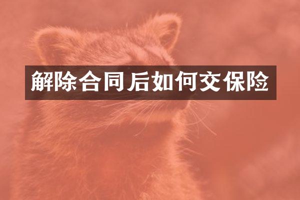 解除合同后如何交保险