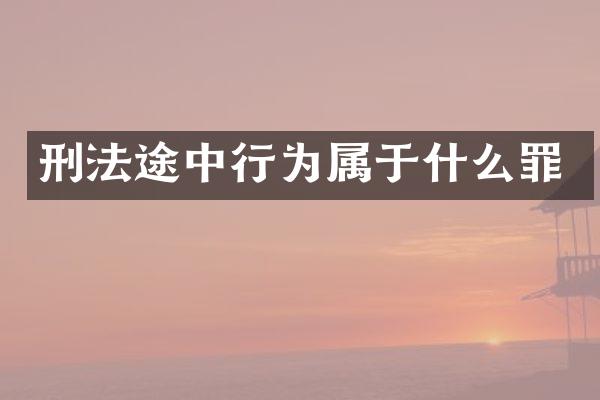 刑法途中行为属于什么罪
