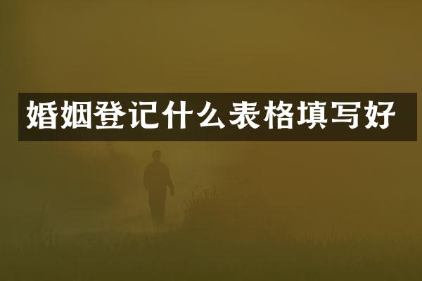婚姻登记什么表格填写好