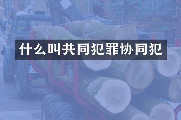 什么叫共同犯罪协同犯