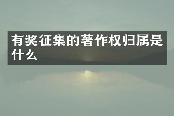 有奖征集的著作权归属是什么