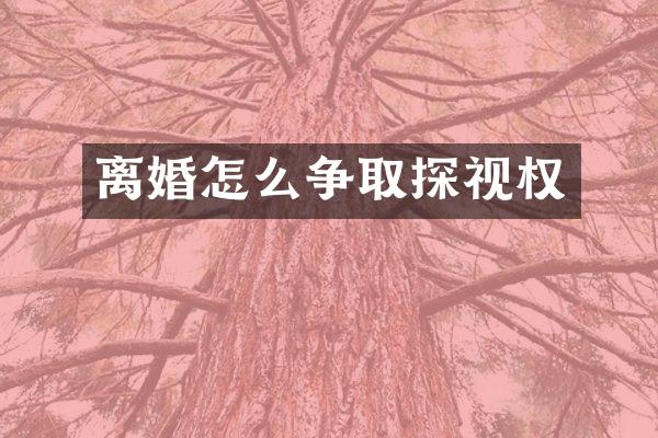 离婚怎么争取探视权