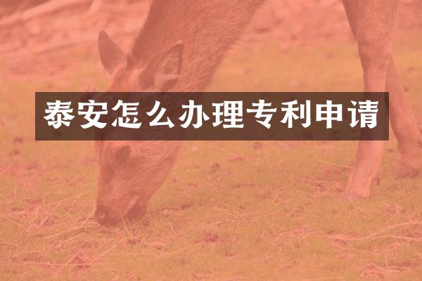 泰安怎么办理专利申请