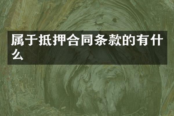 属于抵押合同条款的有什么